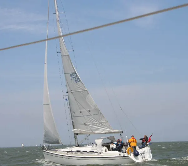 Rheinwoche - Europas größte Flussregatta - Kölner Yacht Club - Rheinsegeln