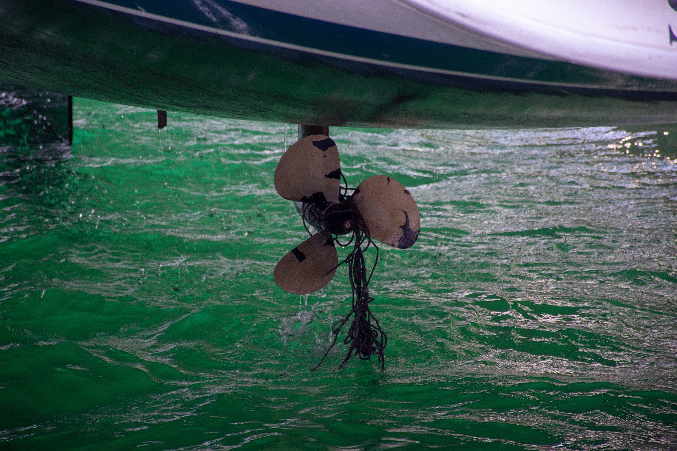 Fischernetz in der Schraube Fischernetz in der Schraube