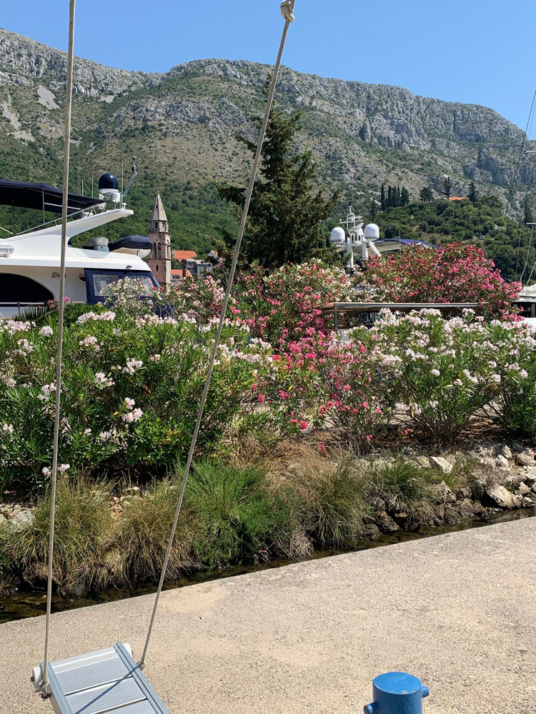 Eine kleine Idylle - die ACI Marina Dubrovnik Kölner Yacht Club - Reisebericht Eine kleine Idylle - die ACI Marina Dubrovnik