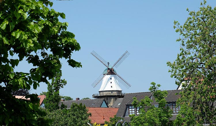 Holländermühle Amanda in Kappeln Kölner Yacht Club - Reisebericht 2021 Holländermühle Amanda in Kappeln