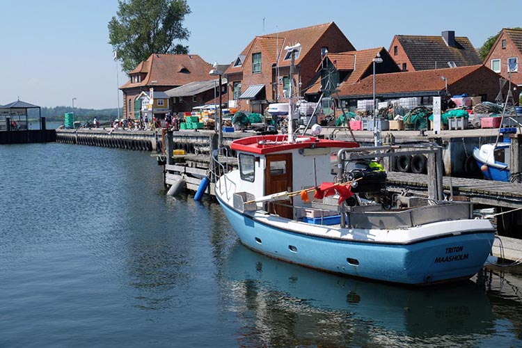 Fischereihafen von Maasholm Fischereihafen von Maasholm - Reisebericht Ostsee 2021