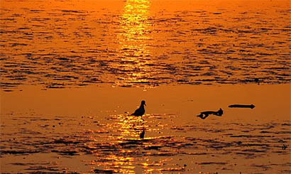 Richtig Segeln im Wattenmeer